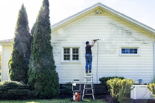 Pressure Washing Services for Businesses in Carpentersville, IL